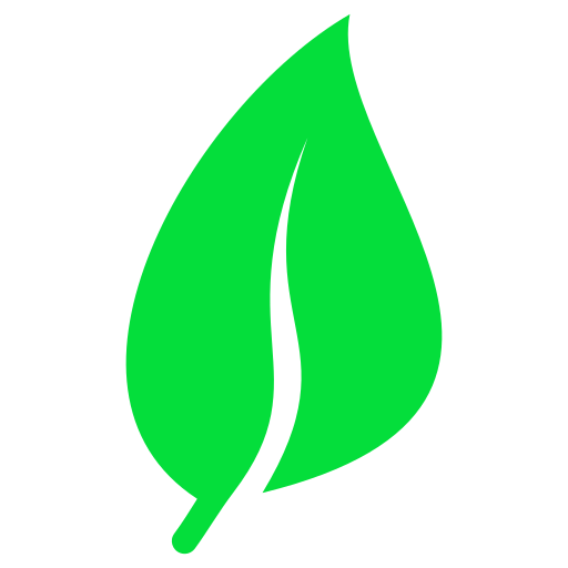 Город и Экология